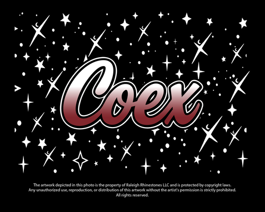 CoEx Sweatshirt Raleigh Rhinestones